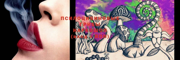 ешки Абаза