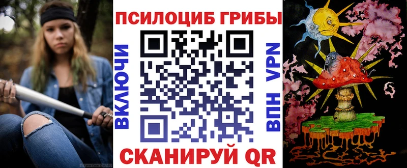Галлюциногенные грибы Psilocybe  МЕГА ТОР  Комсомольск-на-Амуре 